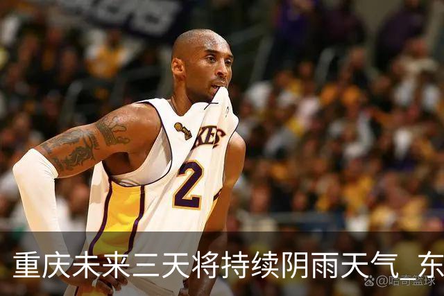 重庆未来三天将持续阴雨天气 东北部局部地区或有暴雨